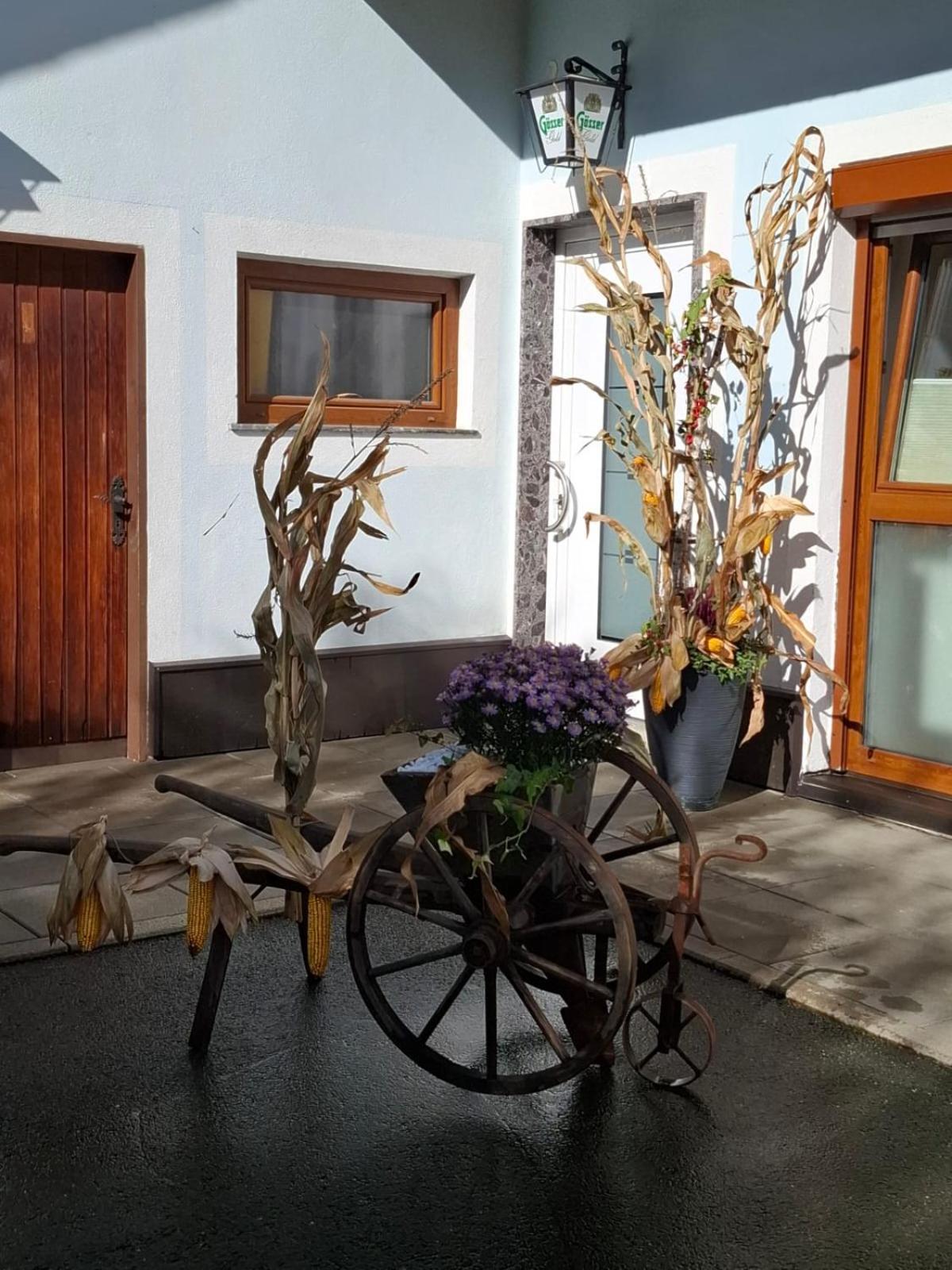Ferienwohnung Heiabett Wies 외부 사진