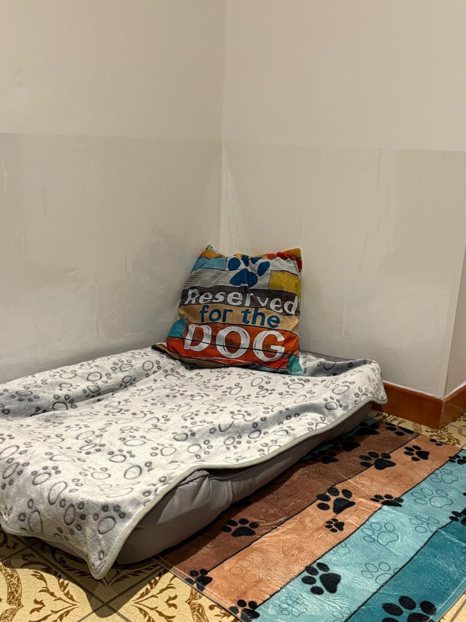 Ferienwohnung Heiabett Wies 외부 사진